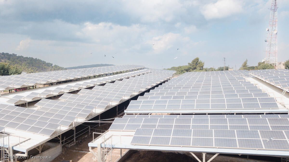 פאנלים סולארים על גבי חווה בקיבוץ מעלה גלבוע (ישראל)